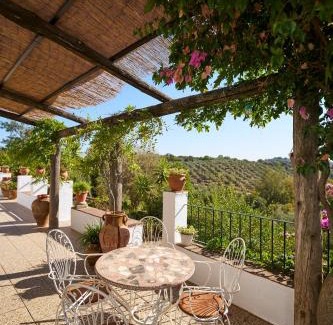 Constantina House | Villa Botero