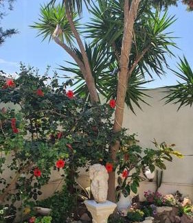 Sidi Daoud Villa | Villa Carthagene /Jacuzzi -swimingpool- Billard
