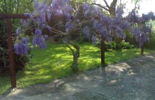 Tragliatella Villa | Villa con piscina