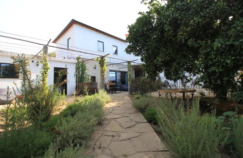 Correlha House | Villa Cornelia, Ponte de Lima