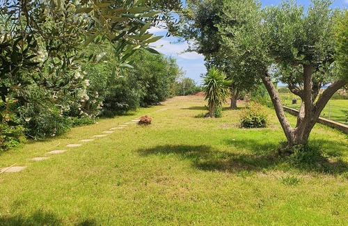 Villaggio delle Mimose Villa | Villa Cycas in Prima Fila Sulla Spiaggia