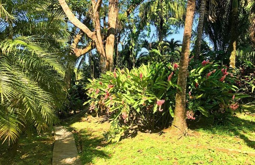Bocas del Toro Villa | Villa del Idaan