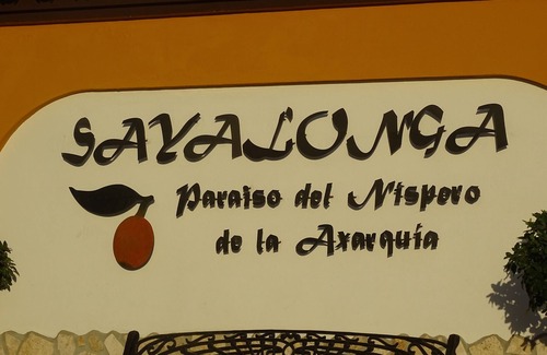 Sayalonga Villa | Villa El Chaparro with heated pool (Sea and Mountain)