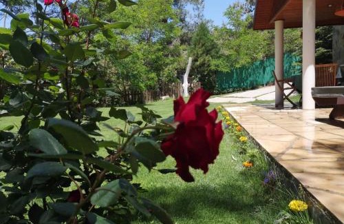 Platres Villa | VILLa ENRIETTe - Panoramic Mountain Retreat in Pano Platres, Cyprus