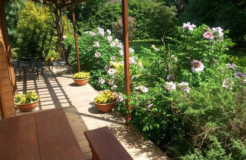 Business District Villa | Villa EverGreen in downtown with private garden (Garage parking/Terrace/Hot tub)