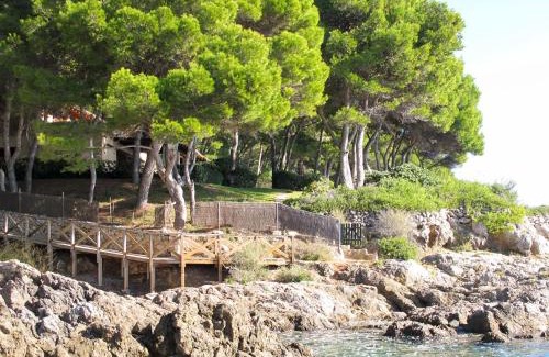 Costa de los Pinos Villa | Villa Finca L'Embat by Interhome