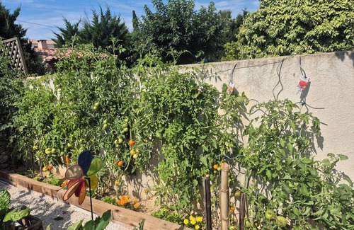 Chateauneuf-les-Martigues House | Villa in Provence at the crossroads of all important cities