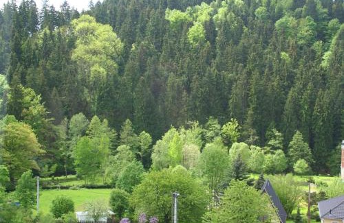 Grunhainichen Villa | Villa im Erzgebirge nahe Wanderwegen