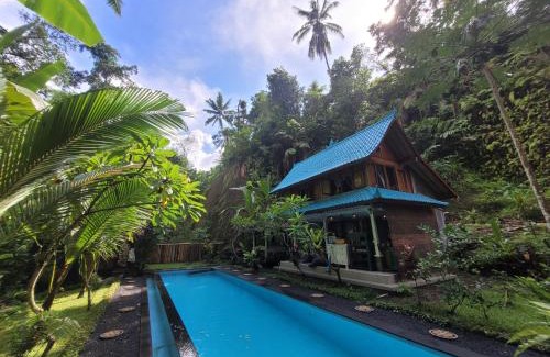 Tampaksiring Villa | Villa Indayani - 17m Pool - Mt Batur Trek