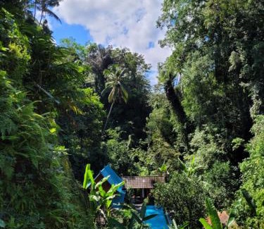 Tampaksiring Villa | Villa Indayani - 17m Pool - Mt Batur Trek