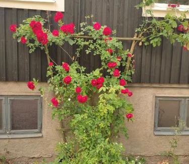 Hultsfred Municipality House | Villa Karllösa - Bed and Breakfast
