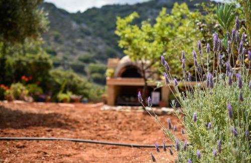 Milatos Villa | Villa Karmilos - A family Villa near the cretan sea and the mountains