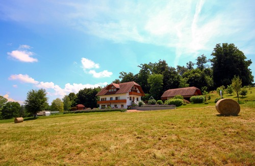Bostanj Apartment | VILLA KATARINA APARTMENTS Nesteled in nature, wrapped in comfort.
