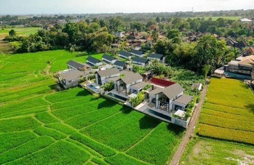 Cepaka Villa | Villa Kura Kura - Tranquil Modern Villa in the Heart of Ricefields