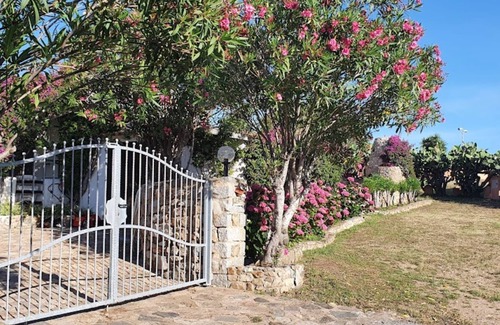 Santa Teresa di Gallura Villa | Villa La Liccia Misia :Comfort, hospitality and well-being for the whole family