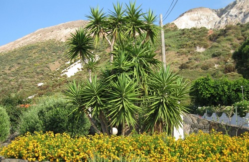 Vulcano Porto Villa | Villa Liliana: 2 + 2 sleeps, panoramic view, 200 mt. from the sea.