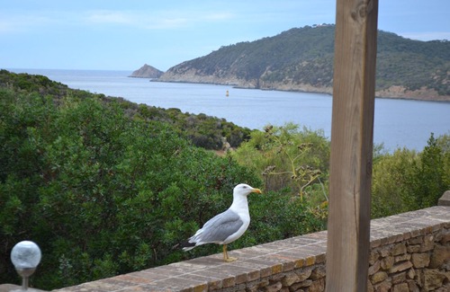 Ile du Levant House | Villa Marguerite, Haven of Peace on I'le du levant