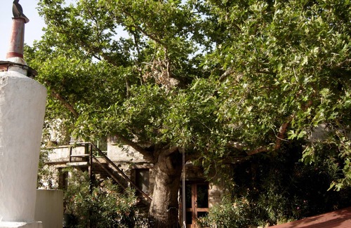 Perivolia Villa | Villa Meli Zachari Fabrica