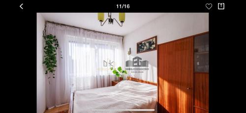 Swinoujscie Villa | Villa Monte Carlo
