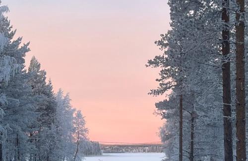 Rovaniemi Villa | Villa Naava