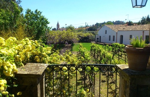 Trecastagni Villa | Villa Ninina in the Heart of Etna Park x10