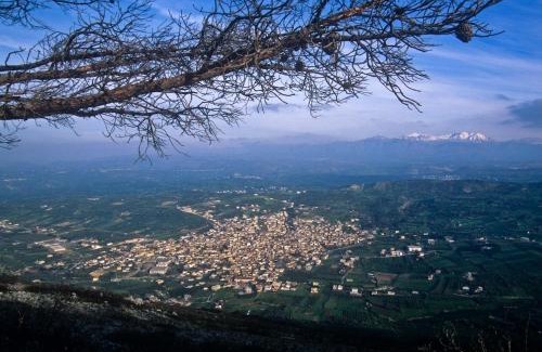 Archanes Apartment | Villa Orestis