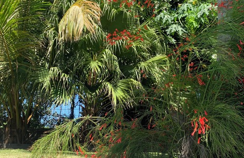 Bois d'Olives Villa | Villa Paisible Avec Piscine, Grand Jardin Arboré