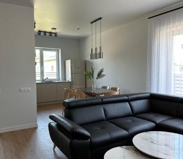 Sendvario seniunija Villa | Villa PANDA HOUSE in Klaipeda