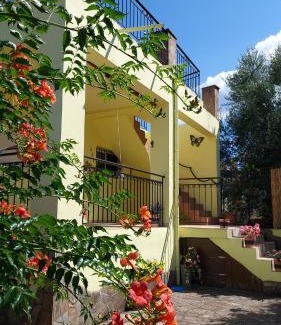 Messini Apartment | Villa Pelops Petalidi