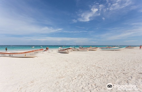 Playa Paraiso Hotel | Villa Pescadores Tulum