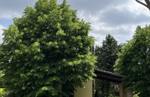 Ponte a Egola Villa | Villa Privata Immersa nei Vigneti Chianti