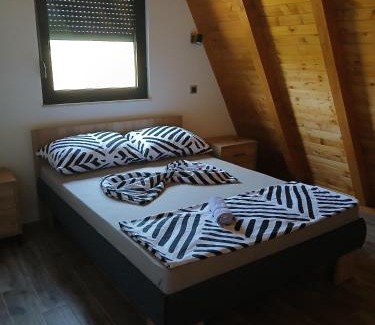 Mali Radic House | Villa Rustic