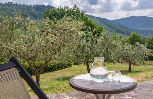 Lisciano Niccone House | Villa San Martino, two houses sharing a fenced pool, Martinino, Martinino