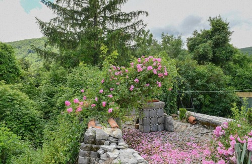 Veli Brgud Villa | Villa Stanzia Stella Verde Opatija by Villas guide