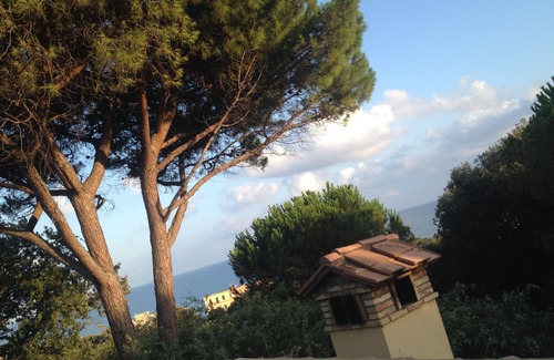 Nettuno Villa | Villa surrounded by greenery with sea view, ideal for stays and events