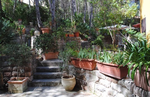 Narbolia Villa | Villa under pine trees by the sea