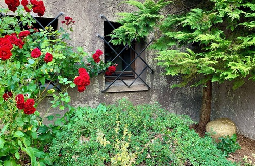 Friedrichroda Apartment | Villa Warzenburg, apartment 1 with panoramic mountain view and terrace. Vacation with a dog.