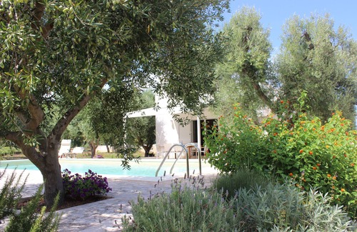 Carovigno Villa | Villa with private pool in an olive grove, 3 km from the coast & Torre Guaceto