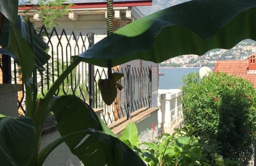 Igalo Villa | Villa with Sea Views on the South West Coast of Herceg Novi in Boka Kotorska Bay