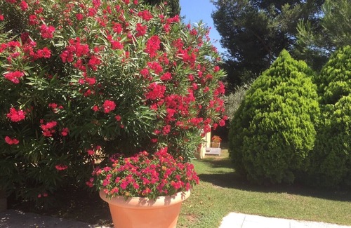 Beaucaire Villa | VILLA WITH SWIMMING POOL IN PINEDE NEAR THE ALPILLES OF CAMARGUE SOUTH FRANCE