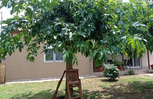 Avdira House | Village Nest