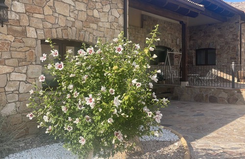 Fuentiduena Cottage | Villas de Fuentidueña: SAN Valentín