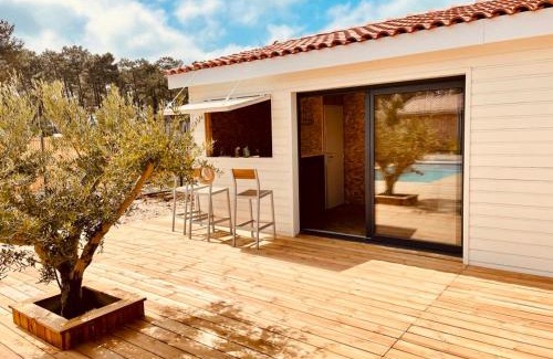 Vensac Villa | VillasHomeClet - Villa Palm Beach