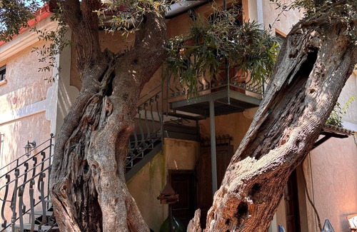 Marina Di Camerota Apartment | VILLINO TROCCOLI, Alice Apartment