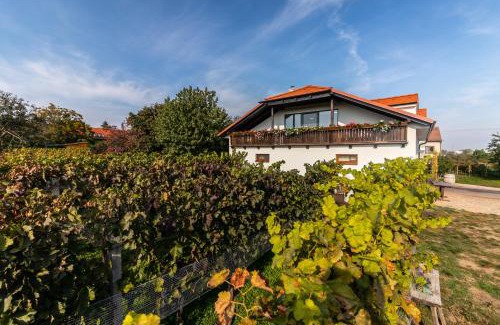 Mikulcice House | Vinařství Výmola