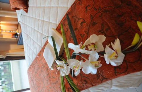 Pissouri Villa | Vineland Cottage . Free Wi-Fi . Big pool with walk in steps