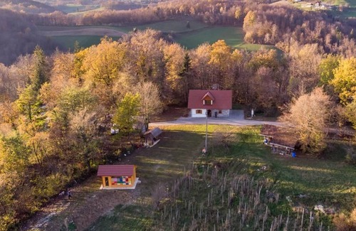Bostanj Cottage | Vineyard cottage Vina in medu