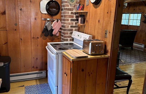 Lone Pine Cabin | Vintage 1920s Speakeasy Cabin Overlooking the Sandy Shores of Swan Lake!