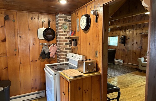 Lone Pine Cabin | Vintage 1920s Speakeasy Cabin Overlooking the Sandy Shores of Swan Lake!