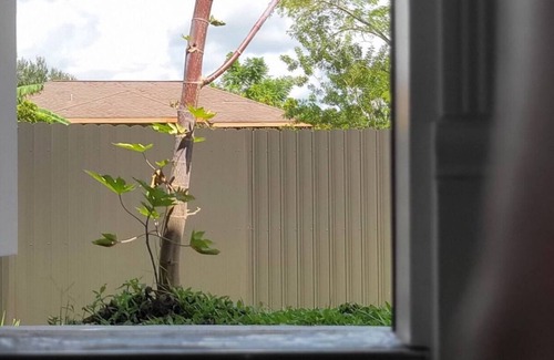 Lehigh Acres Apartment | Violet & Sunshine Suite in Lehigh Acres